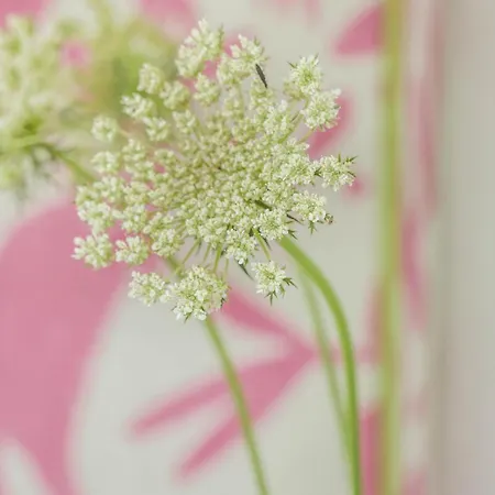 Limani Appartamento Longós